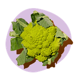 Renk farklılıkları